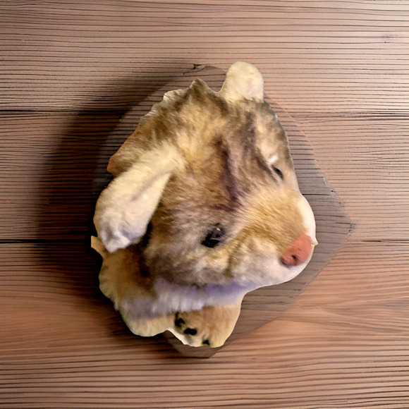 LION CUB Discovery Channel Plush Stuffed Animal Collectible Vtg Cat Kitten 2002 - Picture 3 of 13